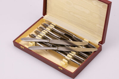Coffret composé de 12 couteaux de table en acier inoxydable de la marque Fadeco
