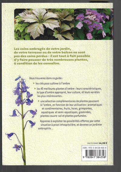 Que planter à l'ombre? 