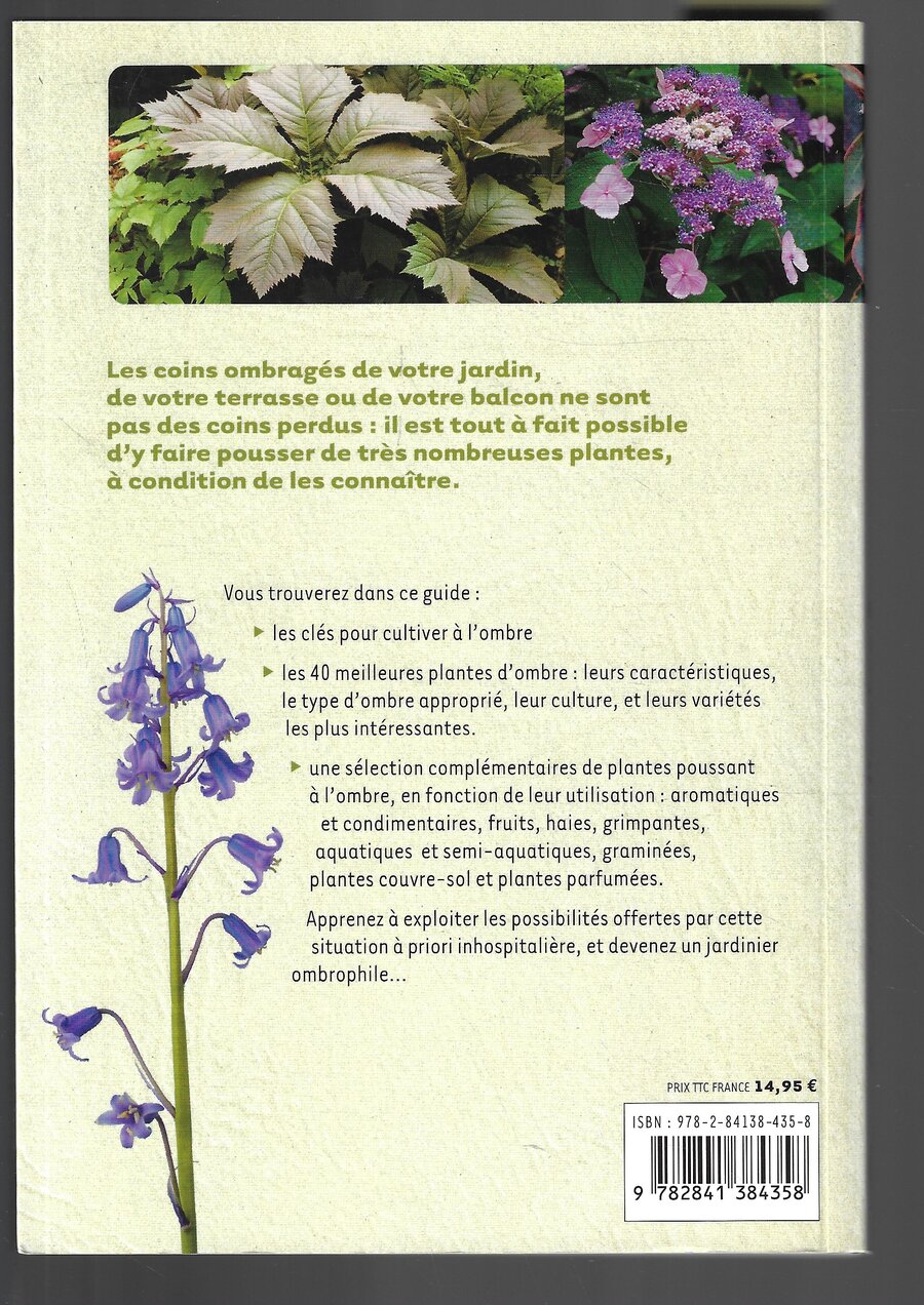 Que planter à l'ombre? 