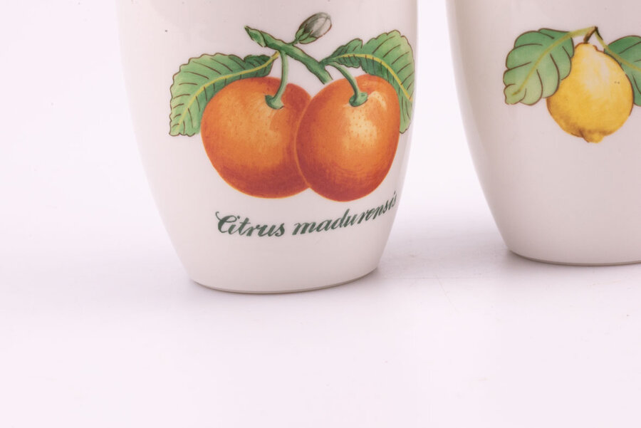 Un duo Villeroy & Boch en parfait état aux couleurs chaude, avec représentation de mandariniers. 