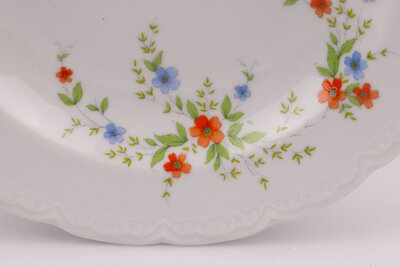 6 assiettes creuses de collection en porcelaine en parfait de la renommée manufacture allemande Mitterteich fondée en 1887