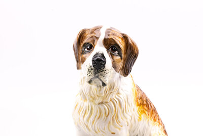 Chien Saint-Bernard en céramique 