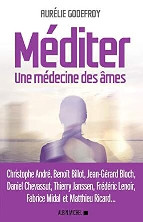 Méditer. Une médecine des âmes