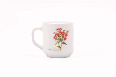 Mug Arcopal Botanique aster et phlox 