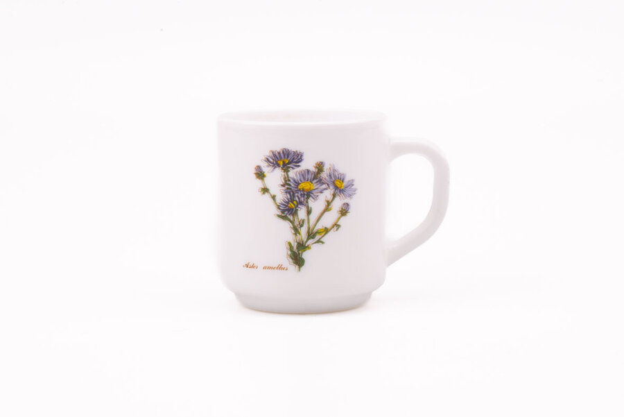 Mug Arcopal Botanique 