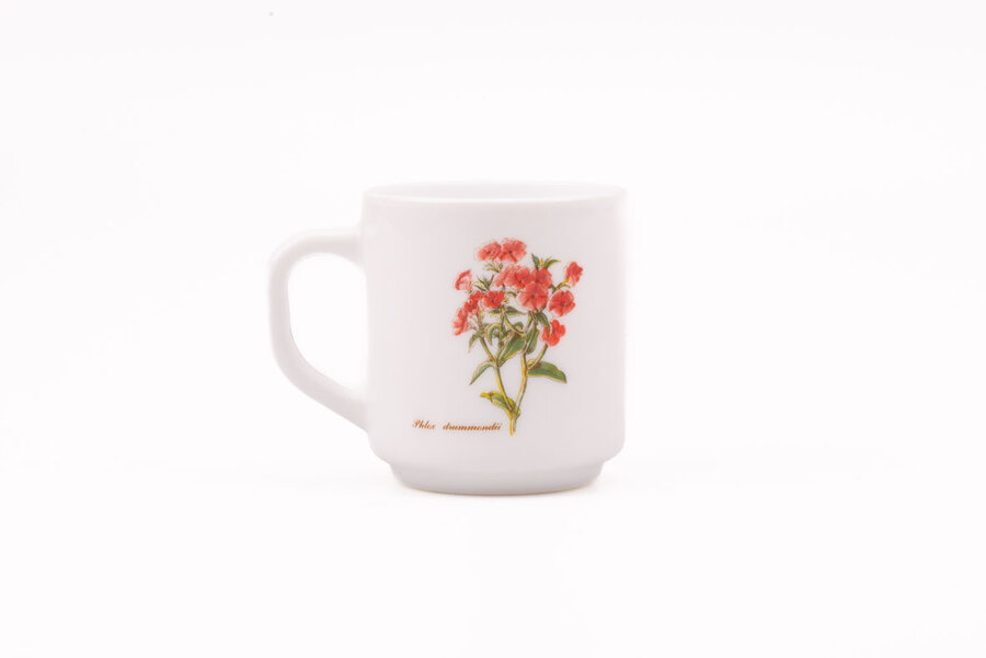 Mug Arcopal Botanique 
