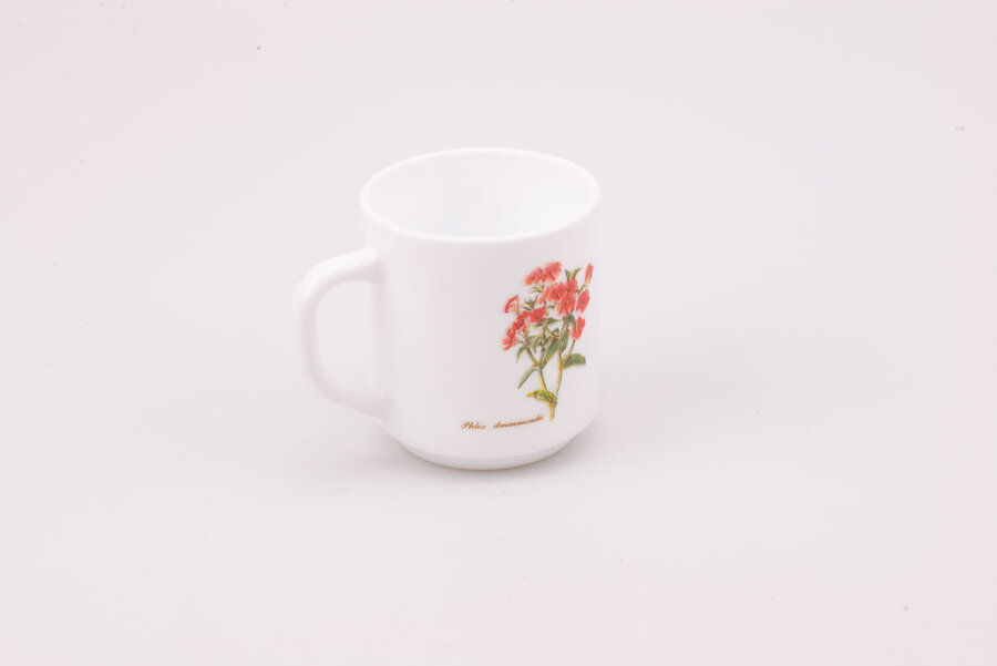 Mug Arcopal Botanique 