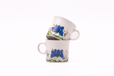 2 tasses à café en porcelaine Pontesa avec motif floral