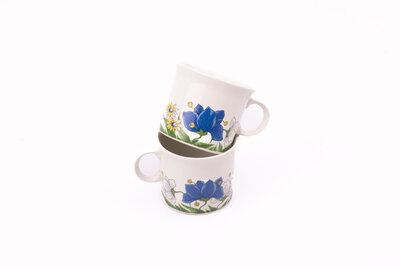 2 tasses à café en porcelaine Pontesa avec motif floral 