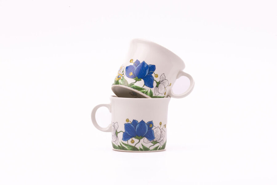2 tasses à café en porcelaine Pontesa avec motif floral 