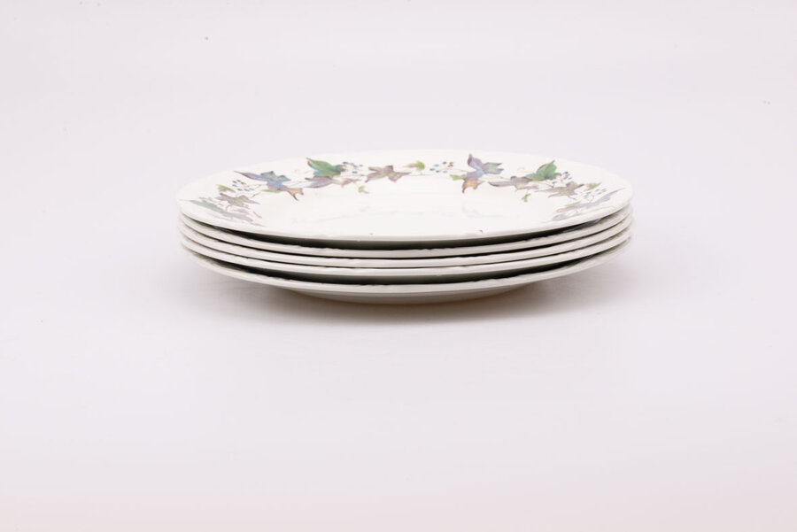 5 assiettes plates vintage Pontesa bordure motif floral