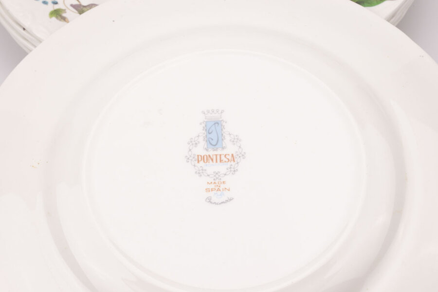 5 assiettes plates vintage Pontesa bordure motif floral