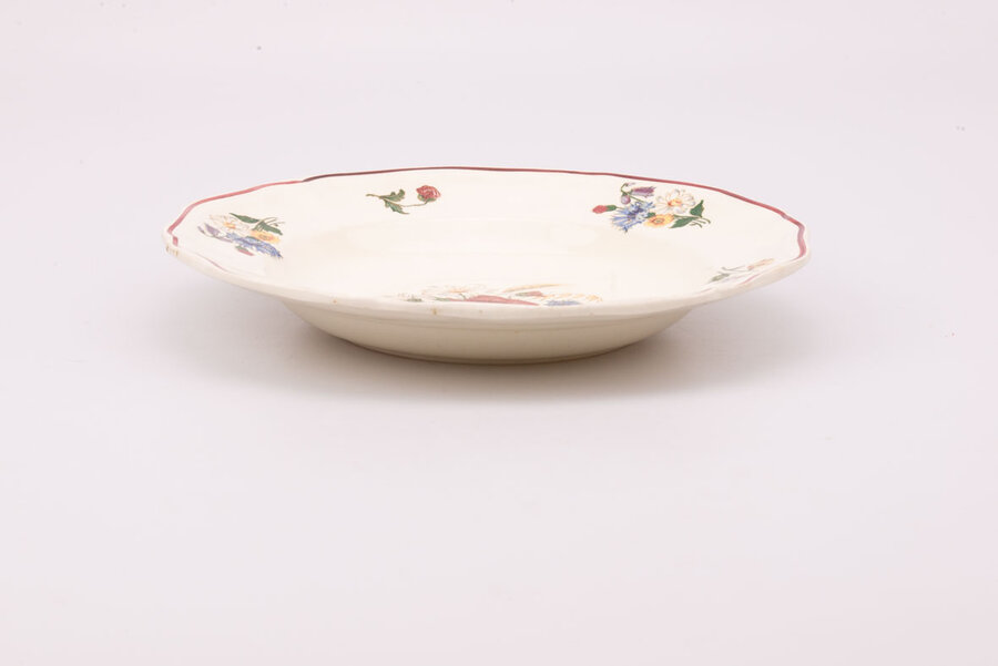 5 assiettes plates + 5 assiettes creuses Sarreguemines Agreste avec motif floral