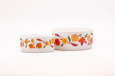Set de 2 plats saladiers Arcopal Tulipe 