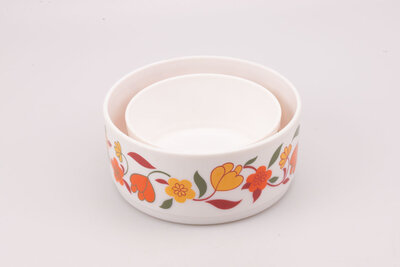 Set de 2 plats saladiers Arcopal Tulipe 