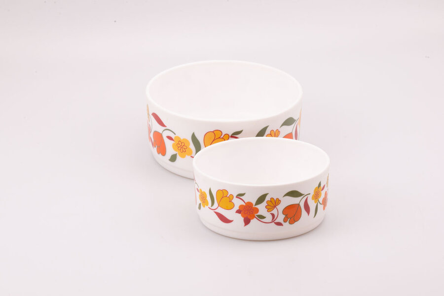 Set de 2 plats saladiers Arcopal Tulipe 