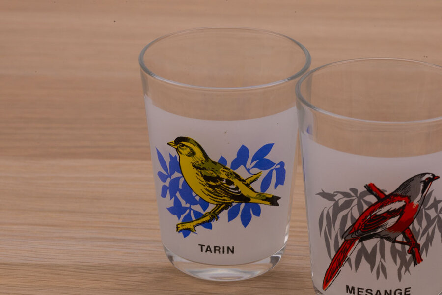 5 verres à eau avec un oiseau