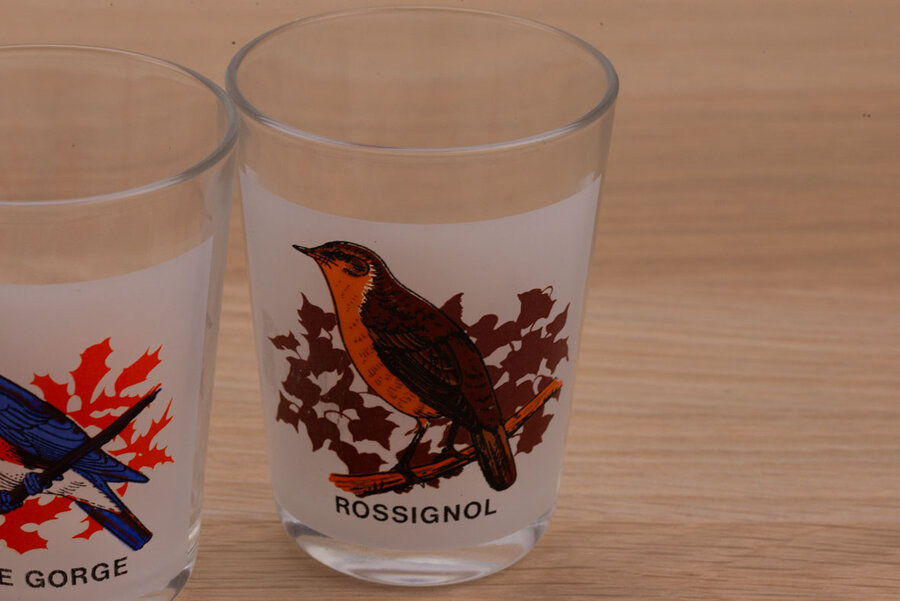 5 verres à eau avec différents oiseaux 