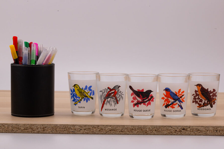 5 verres à eau avec différents oiseaux 
