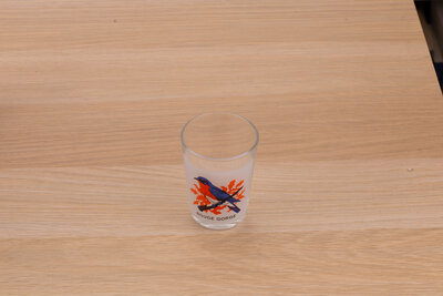 5 verres à eau avec différents oiseaux 