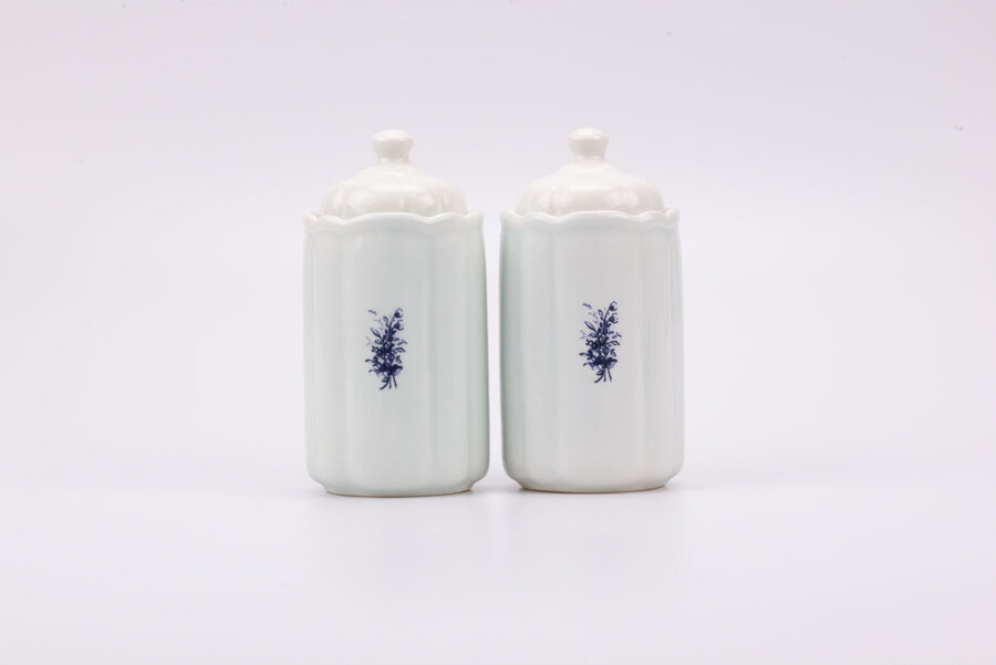 Duo de Poivre et Sel vintage en porcelaine de la manufacture T.Delfts Bleau