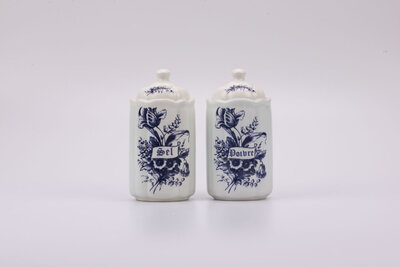 Duo de Poivre et Sel vintage en porcelaine de la manufacture T.Delfts Bleau