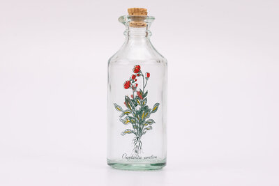 Flacon vintage en verre à bec verseur avec une fleur de Sibérie comme motif