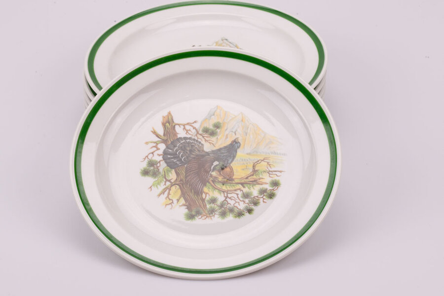 Set de 6 assiettes vintage en porcelaine de Seltmann Weiden Bavaria dans la collection Padtridge