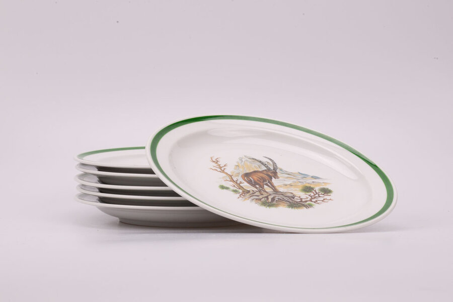 Set de 6 assiettes vintage en porcelaine de Seltmann Weiden Bavaria dans la collection Padtridge