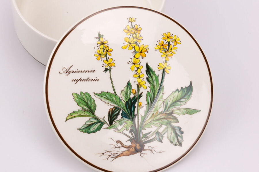 Bonbonnière vintage en porcelaine de Villeroy & Boch dans la collection Botanica