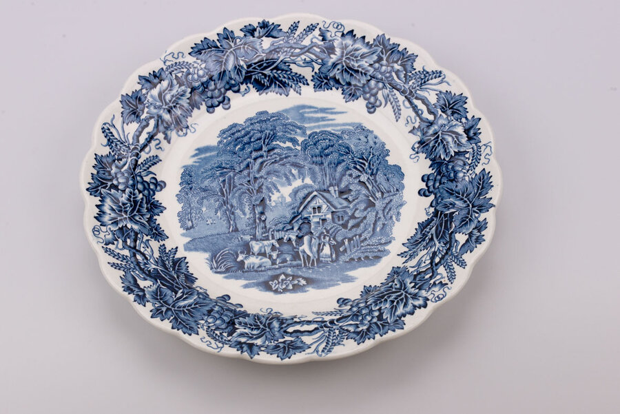 Assiette vintage en porcelaine Booths British Scenery