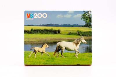 Puzzle vintage MB Derby 