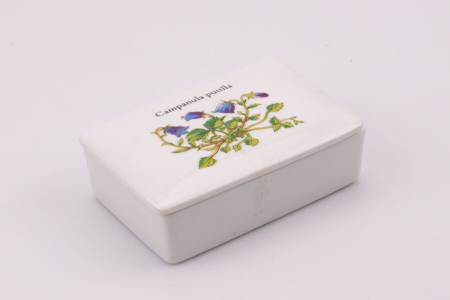 Jolie boite avec couvercle en porcelaine avec un motif de campanule, une belle fleur violette. 
